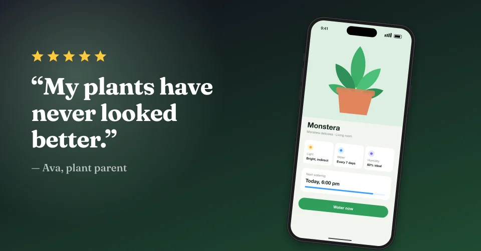 Promo post made in LaunchHerald